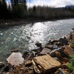 Tributaries take center stage
